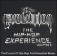 Evolution: The Hip Hop Experience Chapter, Vol. 2