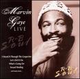 Marvin Gaye Live