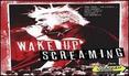 Wake Up Screaming: A Vans Warped Tour Documentary