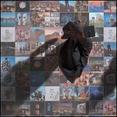 Foot in the Door: The Best of Pink Floyd