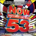 Now That's What I Call Music! 53: The Biggest New Hits On One Album