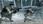SOCOM: U.S. Navy SEALs -- Fireteam Bravo 3