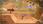 LittleBigPlanet