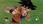 Dragon Ball: Raging Blast 2