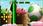 Yoshi's New Island