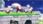 Captain Toad: Treasure Tracker