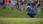 EA Sports Rory McIlroy PGA Tour